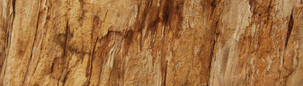 Choc Dee melaleuca bark